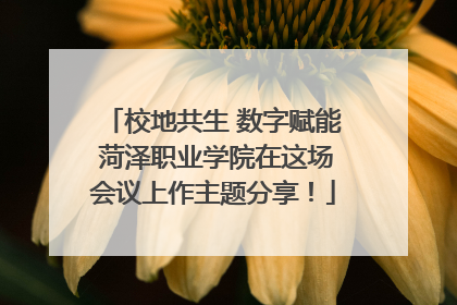 校地共生 数字赋能 菏泽职业学院在这场会议上作主题分享！