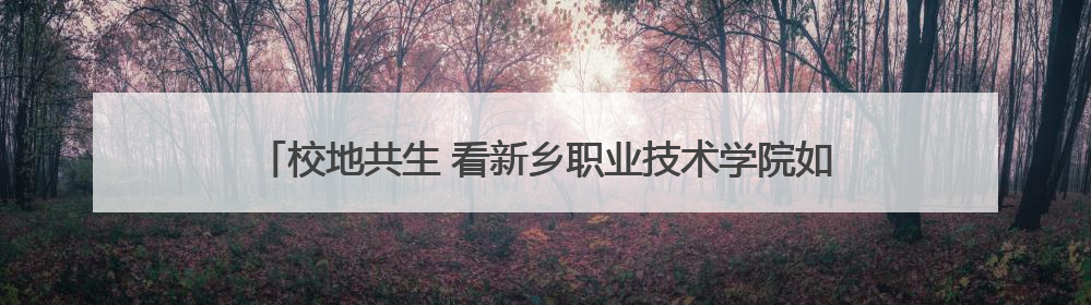 校地共生 看新乡职业技术学院如何以“技能引擎”驱动区域腾飞