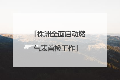 株洲全面启动燃气表首检工作