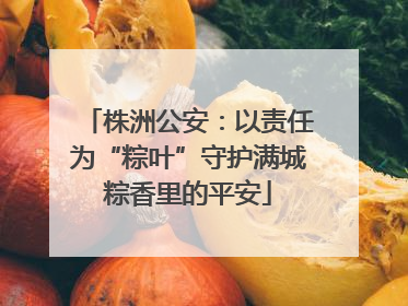 株洲公安：以责任为“粽叶”守护满城粽香里的平安