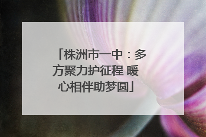 株洲市一中：多方聚力护征程 暖心相伴助梦圆
