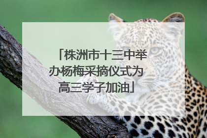 株洲市十三中举办杨梅采摘仪式为高三学子加油