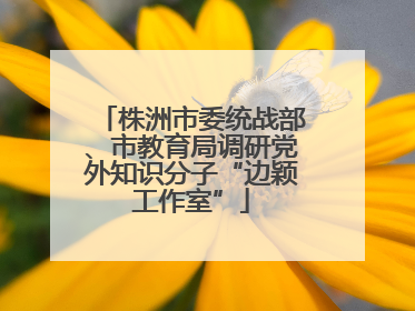 株洲市委统战部、市教育局调研党外知识分子“边颖工作室”