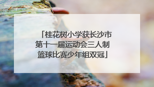 桂花树小学获长沙市第十一届运动会三人制篮球比赛少年组双冠