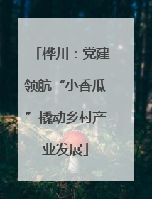 桦川：党建领航“小香瓜”撬动乡村产业发展