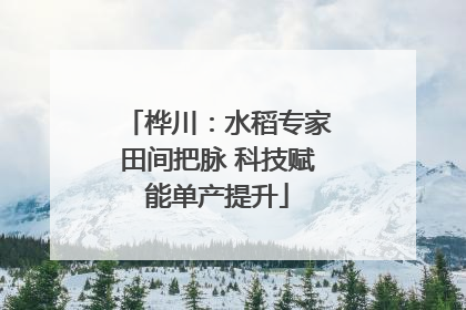 桦川：水稻专家田间把脉 科技赋能单产提升