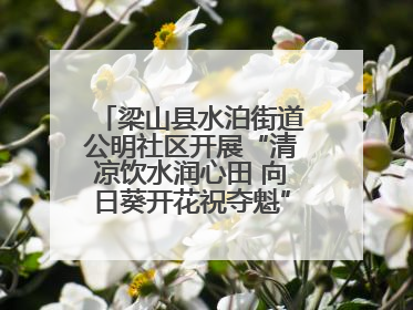 梁山县水泊街道公明社区开展“清凉饮水润心田 向日葵开花祝夺魁”助考活动