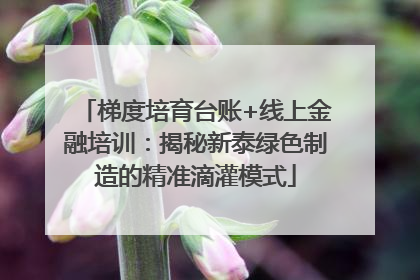 梯度培育台账+线上金融培训：揭秘新泰绿色制造的精准滴灌模式