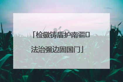 检徽铸盾护南疆 法治强边固国门