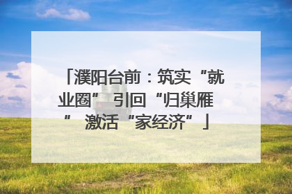 濮阳台前：筑实“就业圈” 引回“归巢雁” 激活“家经济”