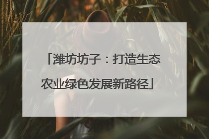 潍坊坊子：打造生态农业绿色发展新路径