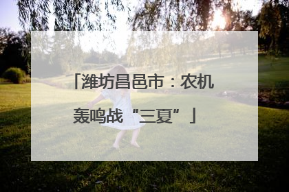 潍坊昌邑市：农机轰鸣战“三夏”