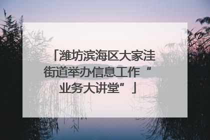 潍坊滨海区大家洼街道举办信息工作“业务大讲堂”