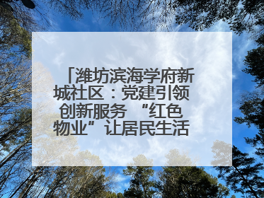 潍坊滨海学府新城社区：党建引领创新服务 “红色物业”让居民生活“幸福满格”