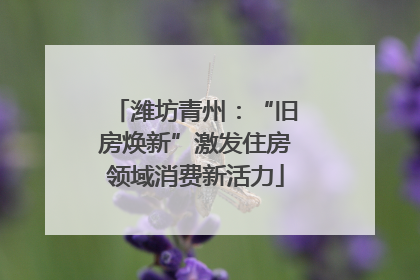 潍坊青州：“旧房焕新”激发住房领域消费新活力