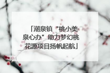 潮泉镇“桃小美·泉心办”助力梦幻桃花源项目扬帆起航