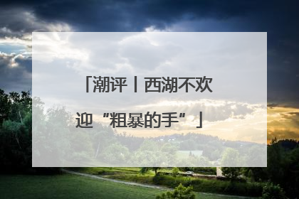 潮评丨西湖不欢迎“粗暴的手”
