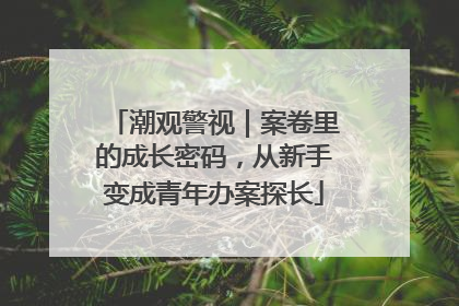 潮观警视｜案卷里的成长密码，从新手变成青年办案探长
