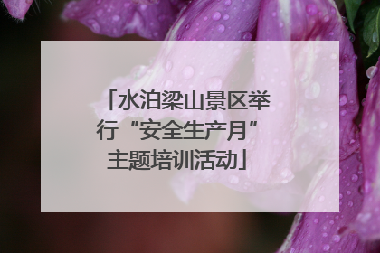 水泊梁山景区举行“安全生产月”主题培训活动