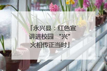 永兴县：红色宣讲进校园 “兴”火相传正当时