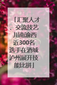汇聚人才、交流技艺 川南渝西近300名选手在酒城泸州展开技能比拼