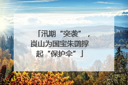 汛期“突袭”，崀山为国宝朱鹮撑起“保护伞”