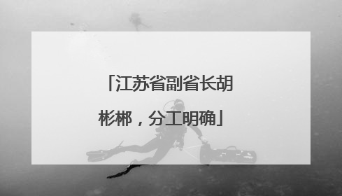 江苏省副省长胡彬郴，分工明确