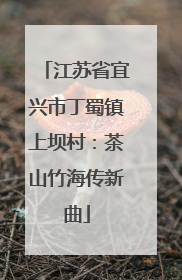 江苏省宜兴市丁蜀镇上坝村：茶山竹海传新曲