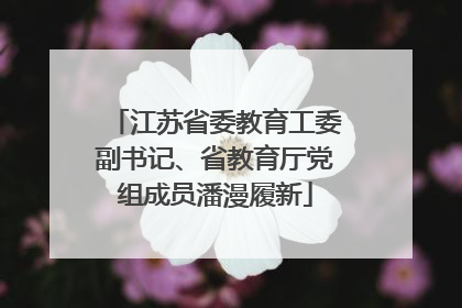 江苏省委教育工委副书记、省教育厅党组成员潘漫履新