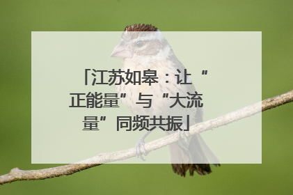 江苏如皋：让“正能量”与“大流量”同频共振
