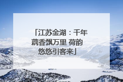 江苏金湖：千年藕香飘万里 荷韵悠悠引客来
