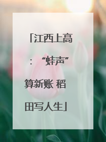 江西上高：“蛙声”算新账 稻田写人生