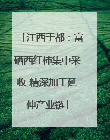 江西于都：富硒西红柿集中采收 精深加工延伸产业链