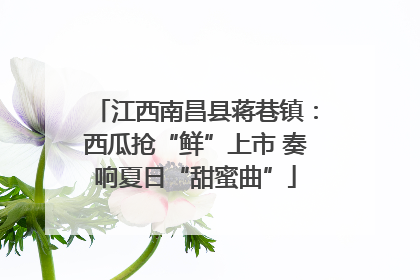 江西南昌县蒋巷镇：西瓜抢“鲜”上市 奏响夏日“甜蜜曲”