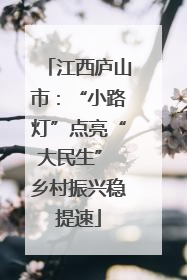 江西庐山市：“小路灯”点亮“大民生” 乡村振兴稳提速