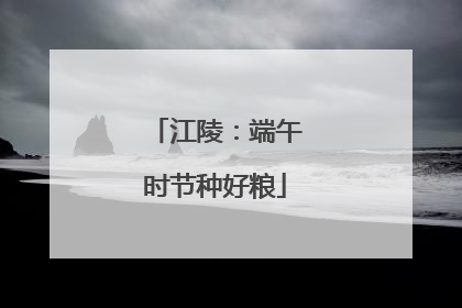 江陵：端午时节种好粮