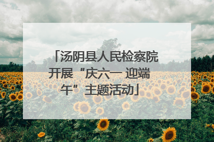 汤阴县人民检察院开展“庆六一 迎端午”主题活动