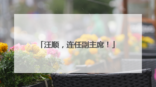汪顺，连任副主席！