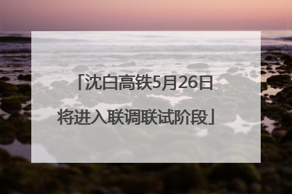 沈白高铁5月26日将进入联调联试阶段