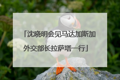 沈晓明会见马达加斯加外交部长拉萨塔一行