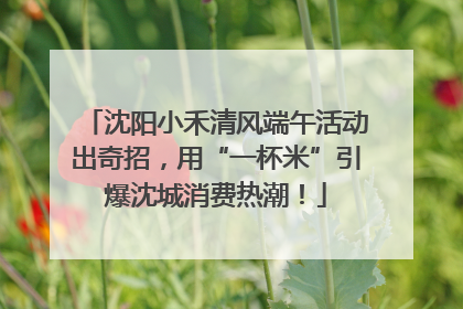 沈阳小禾清风端午活动出奇招，用“一杯米”引爆沈城消费热潮！