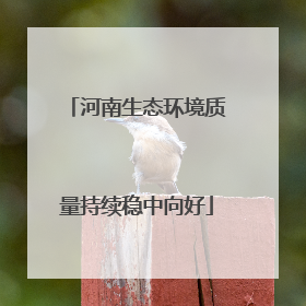 河南生态环境质量持续稳中向好