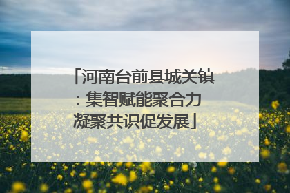 河南台前县城关镇：集智赋能聚合力 凝聚共识促发展