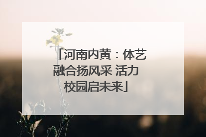 河南内黄：体艺融合扬风采 活力校园启未来