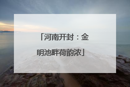 河南开封：金明池畔荷韵浓