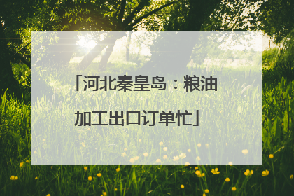 河北秦皇岛：粮油加工出口订单忙