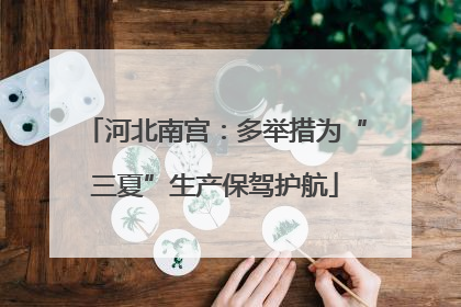 河北南宫：多举措为“三夏”生产保驾护航