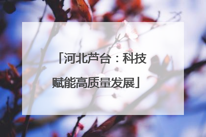河北芦台：科技赋能高质量发展