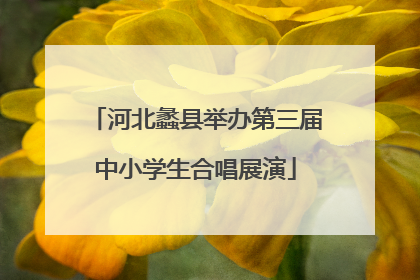 河北蠡县举办第三届中小学生合唱展演