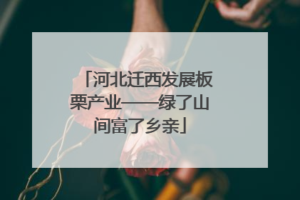 河北迁西发展板栗产业——绿了山间富了乡亲